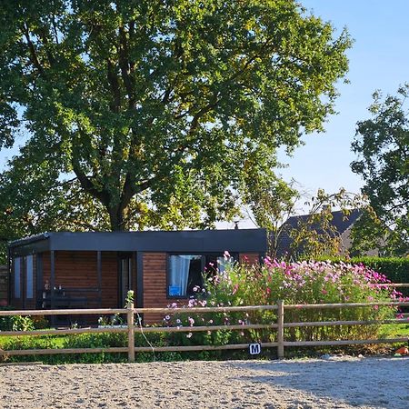 Houten Huisje Tussen Paarden Nieuwerkerken Extérieur photo