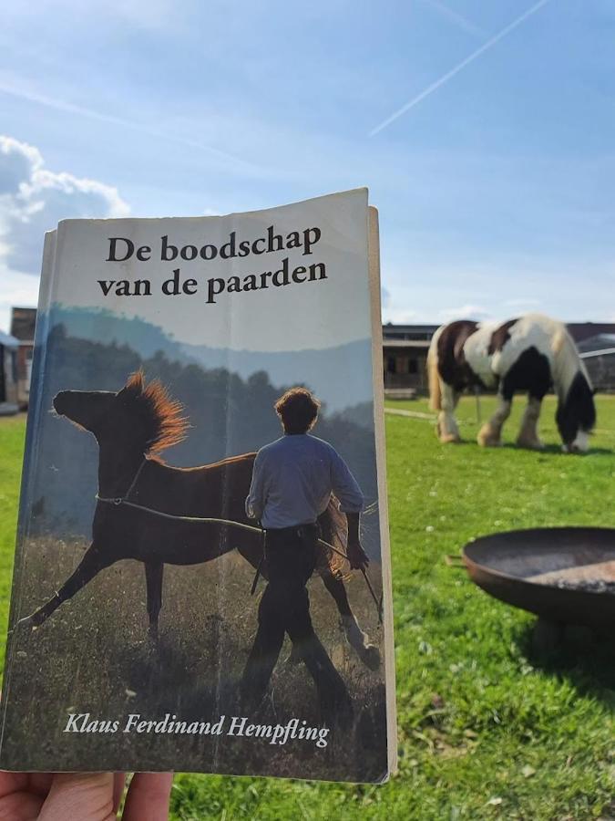 Houten Huisje Tussen Paarden Nieuwerkerken Extérieur photo