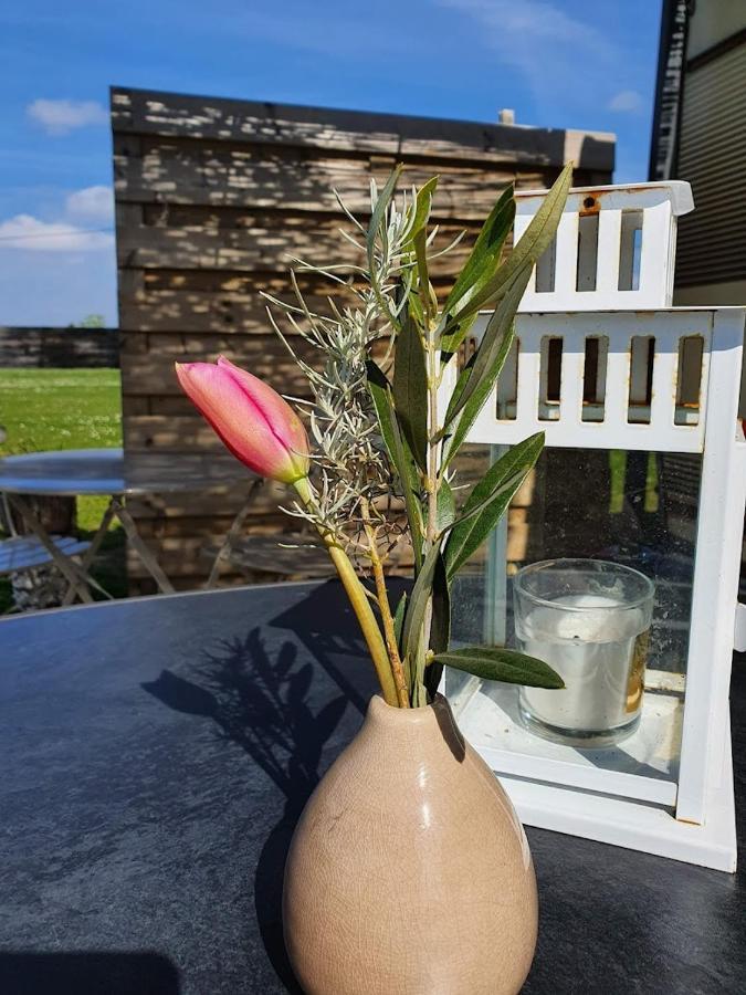 Houten Huisje Tussen Paarden Nieuwerkerken Extérieur photo
