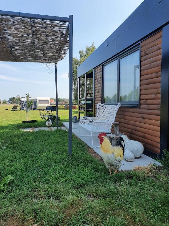 Houten Huisje Tussen Paarden Nieuwerkerken Extérieur photo