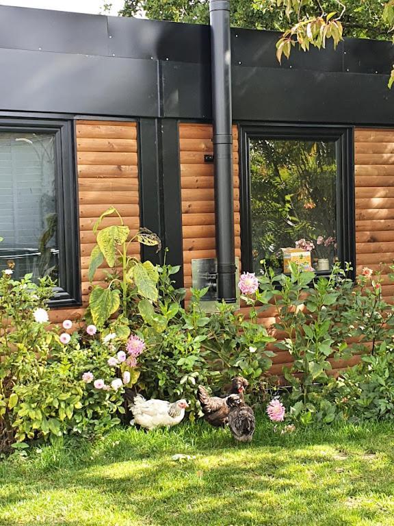 Houten Huisje Tussen Paarden Nieuwerkerken Extérieur photo