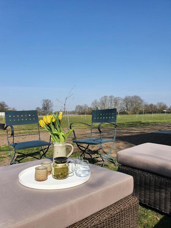 Houten Huisje Tussen Paarden Nieuwerkerken Extérieur photo