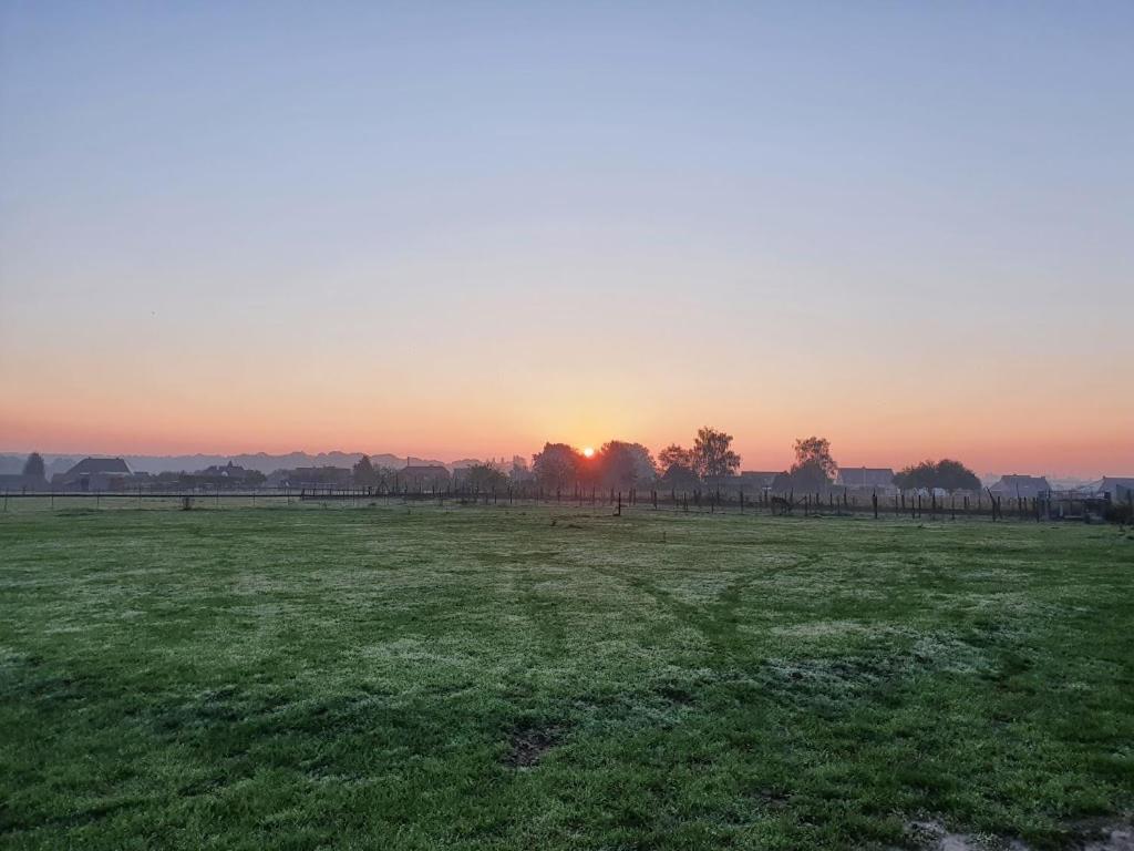 Houten Huisje Tussen Paarden Nieuwerkerken Extérieur photo