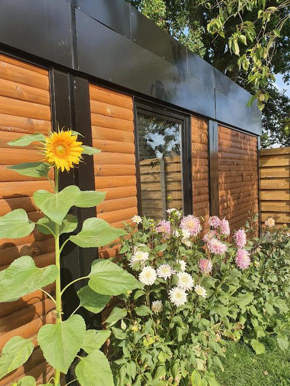 Houten Huisje Tussen Paarden Nieuwerkerken Extérieur photo