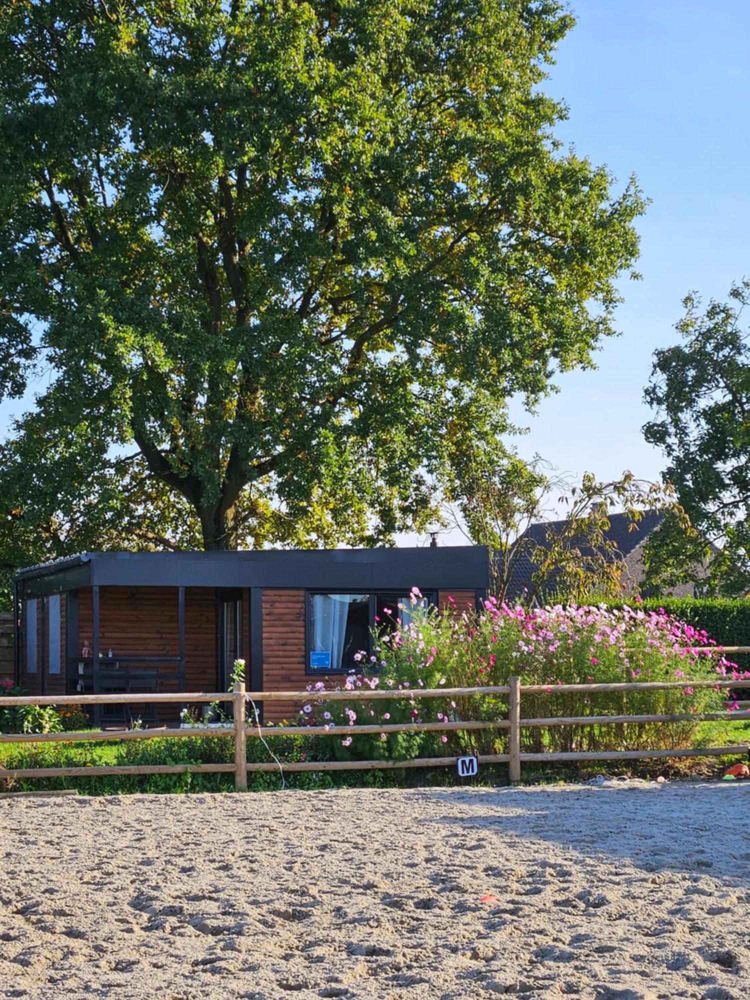 Houten Huisje Tussen Paarden Nieuwerkerken Extérieur photo