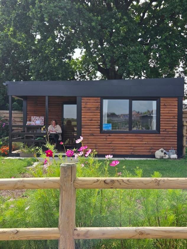 Houten Huisje Tussen Paarden Nieuwerkerken Extérieur photo
